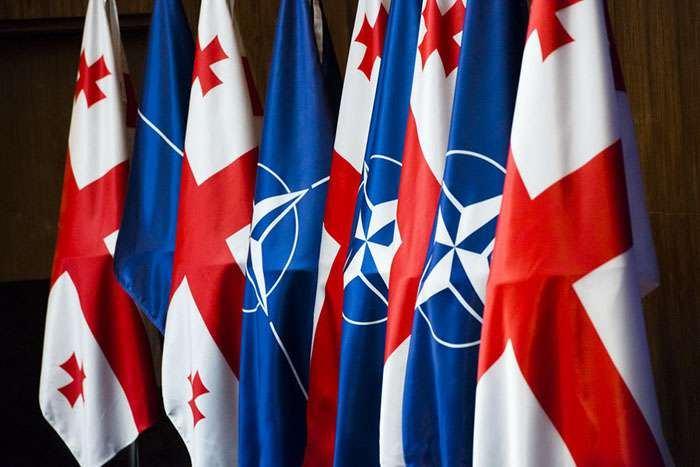 Defence Committee Chair says Georgia to be a NATO member