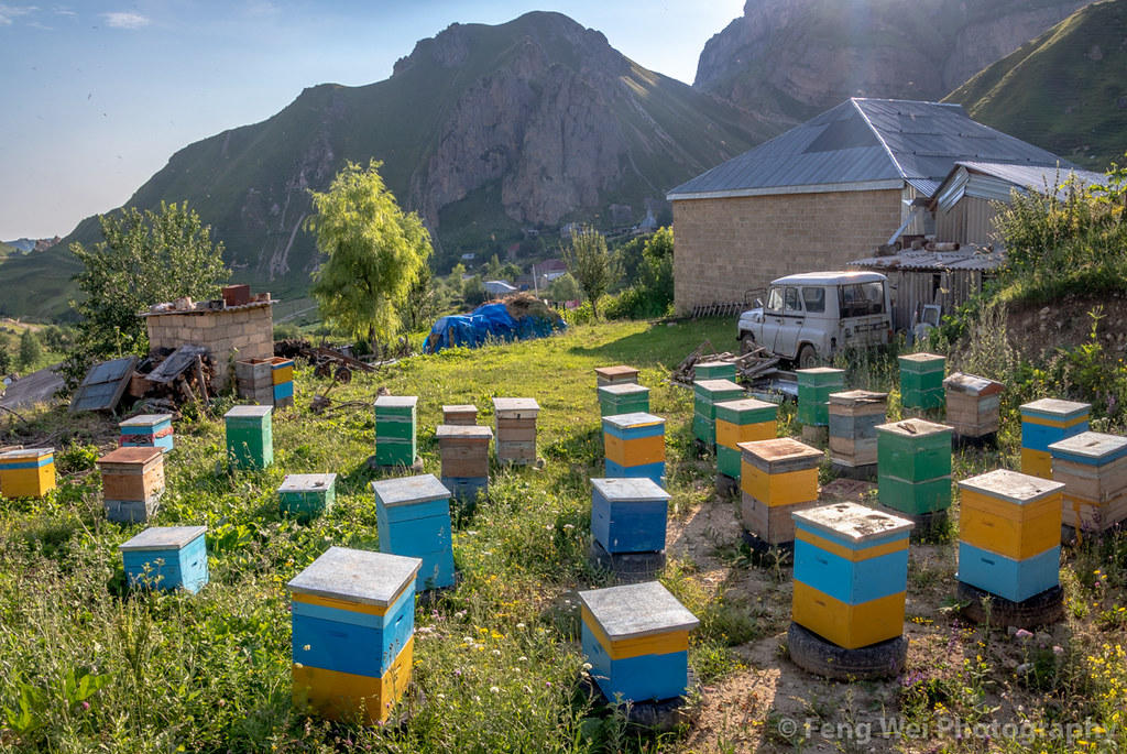 Azerbaijan to produce "smart beehives”