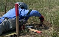 Import of demining means exempted from customs duties