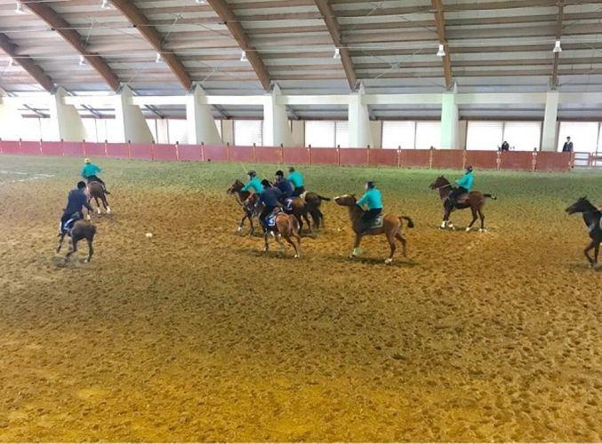 Azerbaijan transfers Republican Center of Equestrian Tourism and National Equestrian Games to State Border Service’s subordination