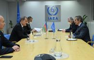 Azerbaijan's FM meets with head of IAEA in Vienna <span class="color_red">[PHOTO]</span>