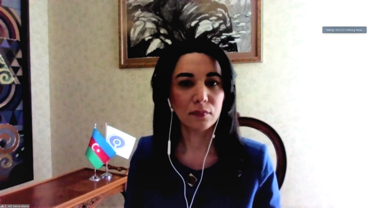 Baku: Armenia violated about 1m Azerbaijanis' fundamental rights