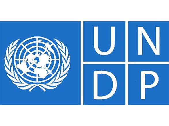 UNDP's Grigoryan exempt from following general rules of organization?