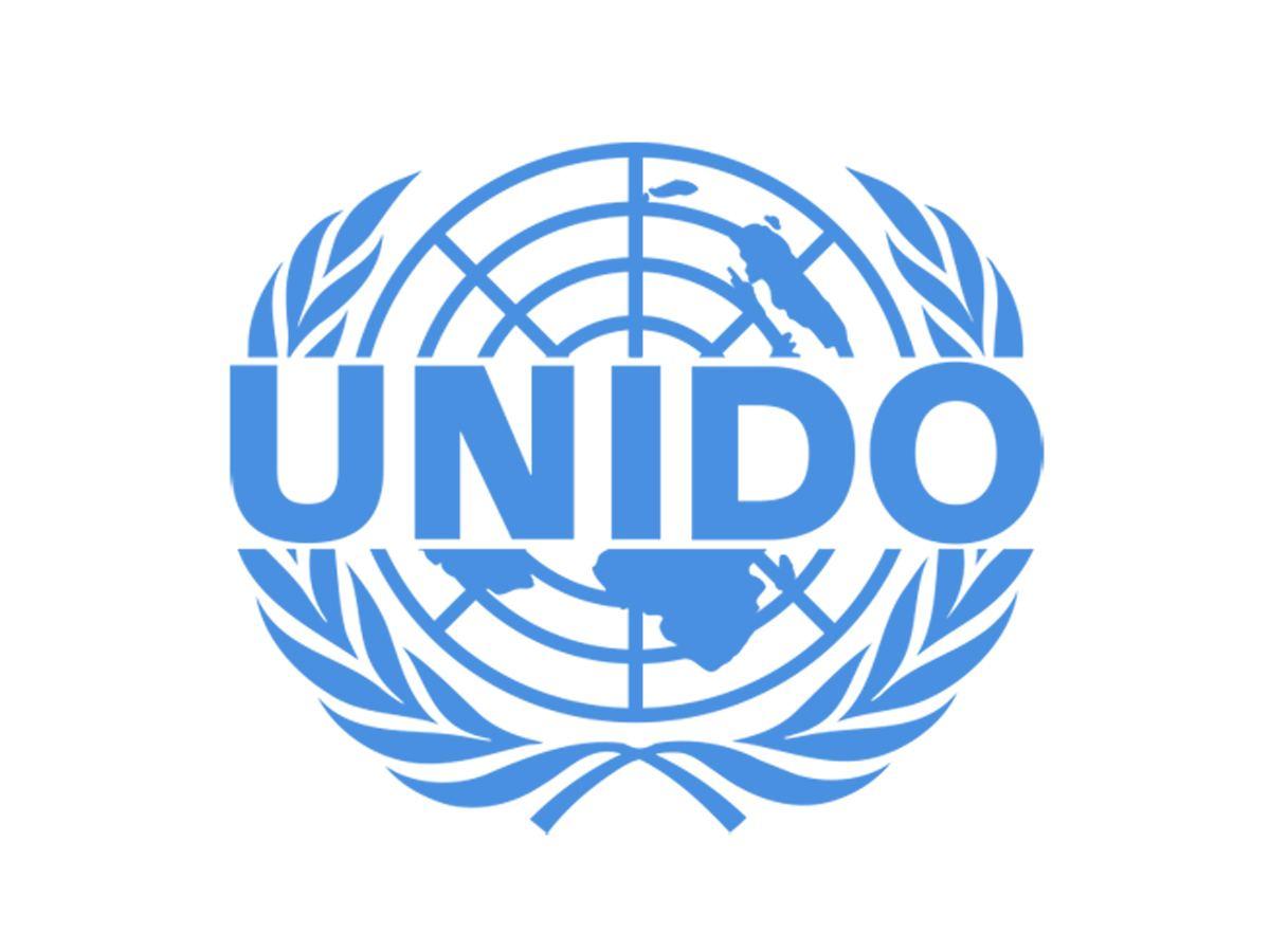 UNIDO to offer expertise for Turkmen energy sector