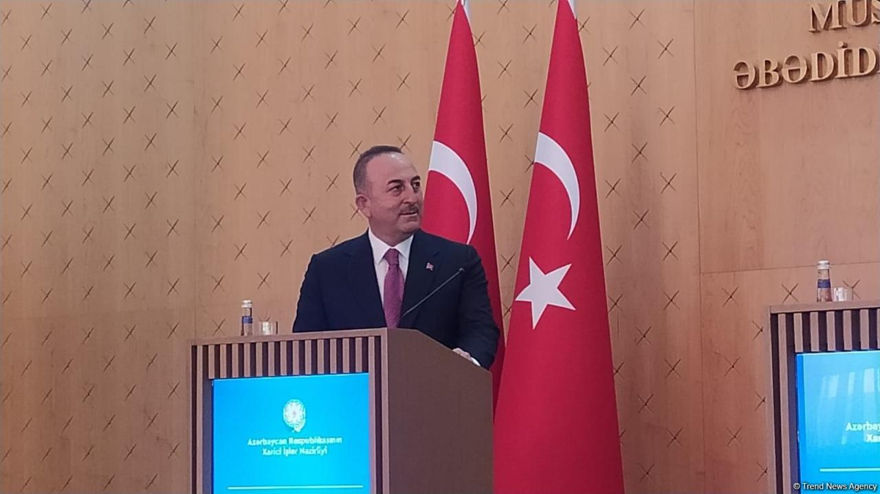Armenia must show adequate approach on peace treaty with Azerbaijan - Turkish FM