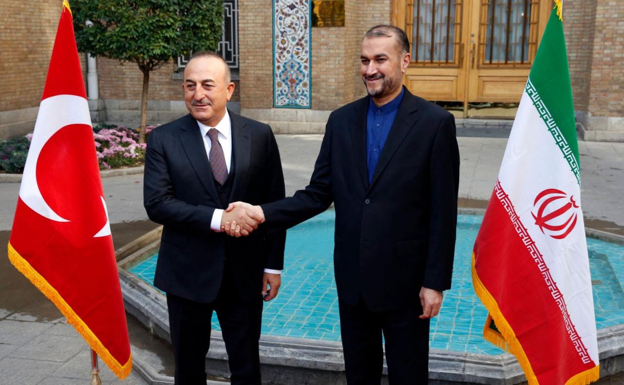 Iran, Turkish FMs stress political solution to Ukraine issue
