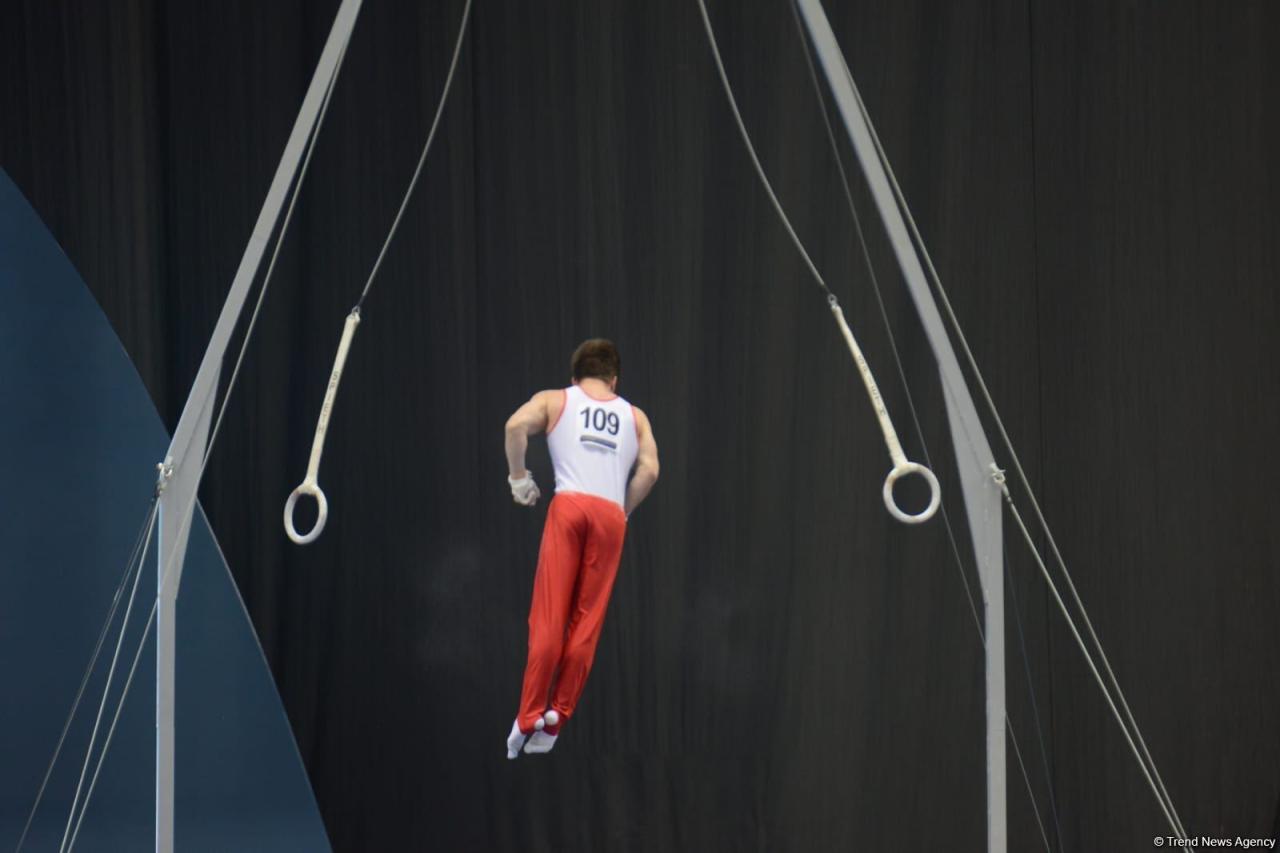 Azerbaijani gymnast wins bronze medal for ring exercises at FIG World Cup [PHOTO] - Gallery Image