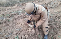 Some 463 mines, munitions defused in liberated lands in March <span class="color_red">[VIDEO]</span>