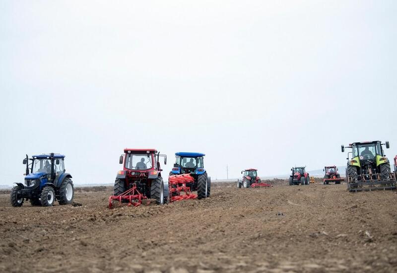 Azerbaijan's food security to benefit greatly from liberated lands