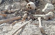More human remains discovered in liberated lands <span class="color_red">[VIDEO]</span>