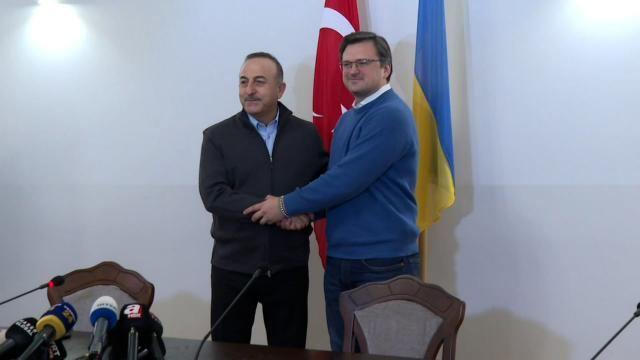 Turkish, Ukrainian FMs hold phone talks
