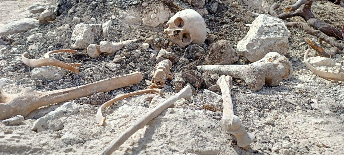 More human remains discovered in liberated lands [VIDEO]