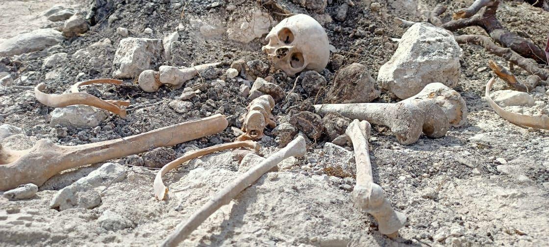 More human remains discovered in liberated lands [VIDEO]