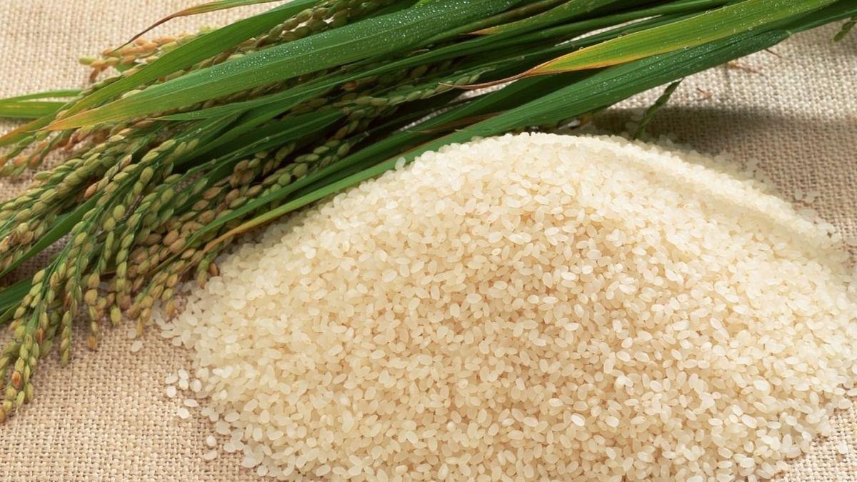 Rice prices in Japan soar by almost 90% in year