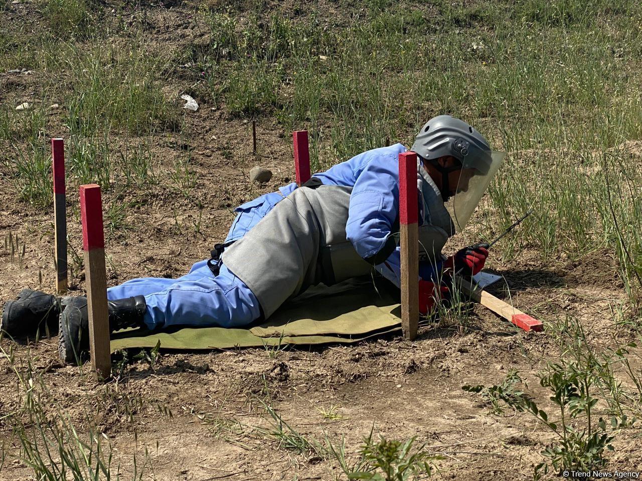 Over 400 mines, munitions defused in liberated lands on April 4-9 [PHOTO]
