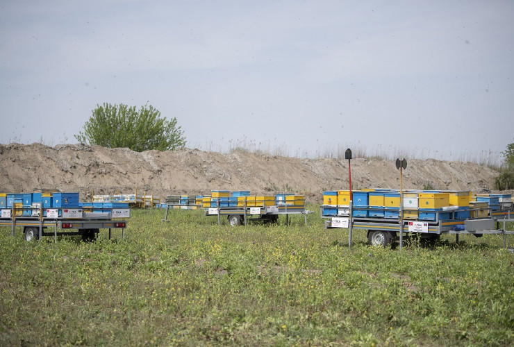 Azerbaijani beekeepers relocate farms to liberated Gubadli
