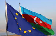 EU realizes importance of partnership with Azerbaijan - Turkish Kadir Has University professor