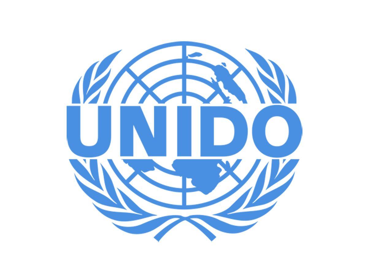 UNIDO intends to strengthen co-op with government of Turkmenistan