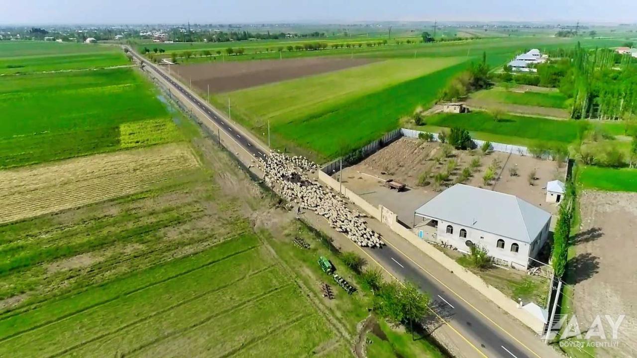 Azerbaijan commissions road connecting settlements in Goranboy [PHOTO/VIDEO]