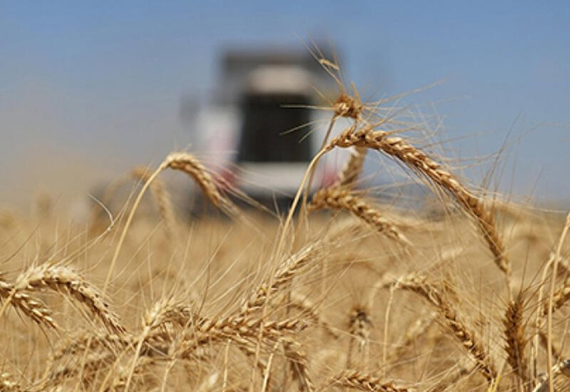 Azerbaijan set to revive agriculture in liberated lands with latest Israeli agri-tech technologies