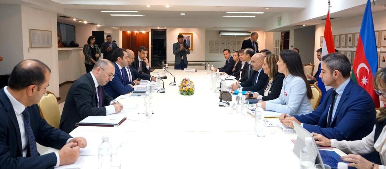 Azerbaijan, Paraguay mull regional, int’l security issues [PHOTO]