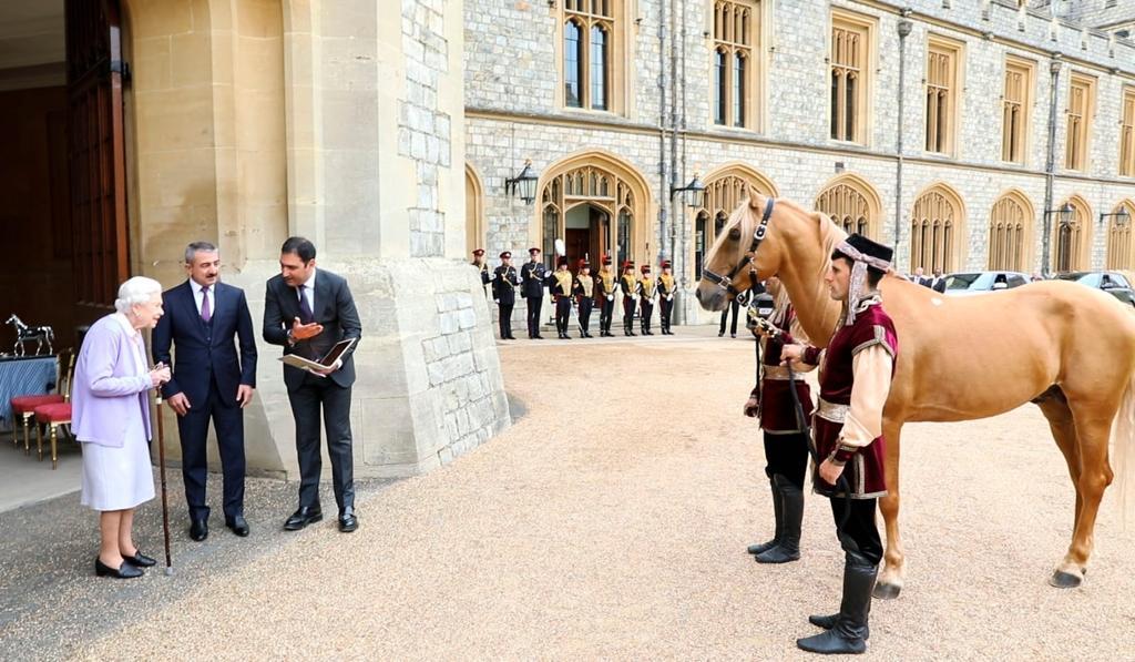 Azerbaijan presents Karabakh horse to Queen Elizabeth II as gift from President Ilham Aliyev [PHOTO]
