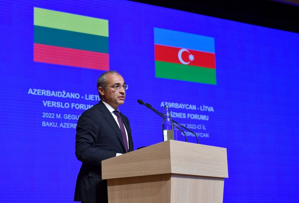 Azerbaidžano ir Lietuvos verslo forume aptariamos ekonominių santykių stiprinimo galimybės [PHOTO]