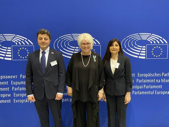 Azerbaijani MPs discuss cooperation between Milli Majlis & European Parliament