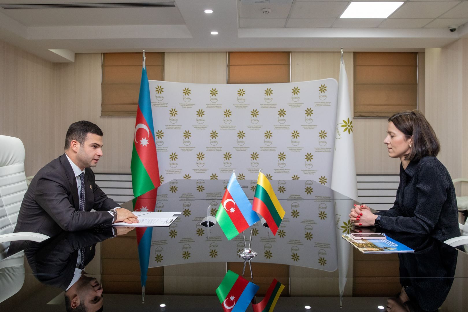 Azerbaijan, Lithuania discuss ways of practical implementation of signed deals