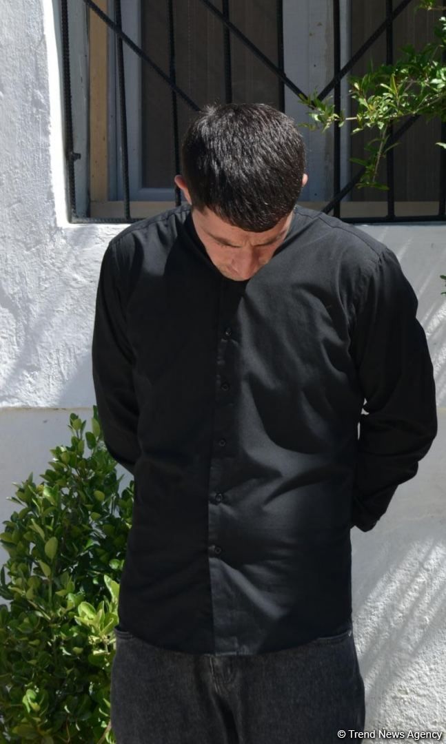 Slider Image 1