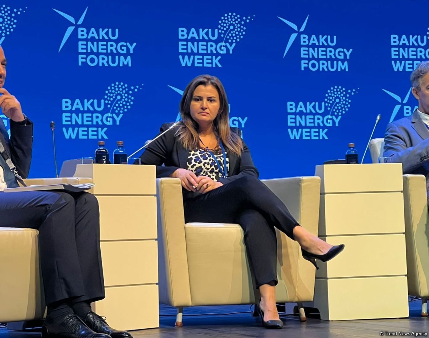 First offshore wind projects in Azerbaijan to have higher energy cost - WB