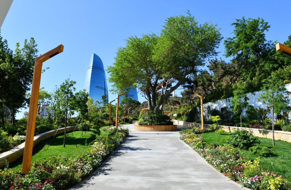 Slider Image 1