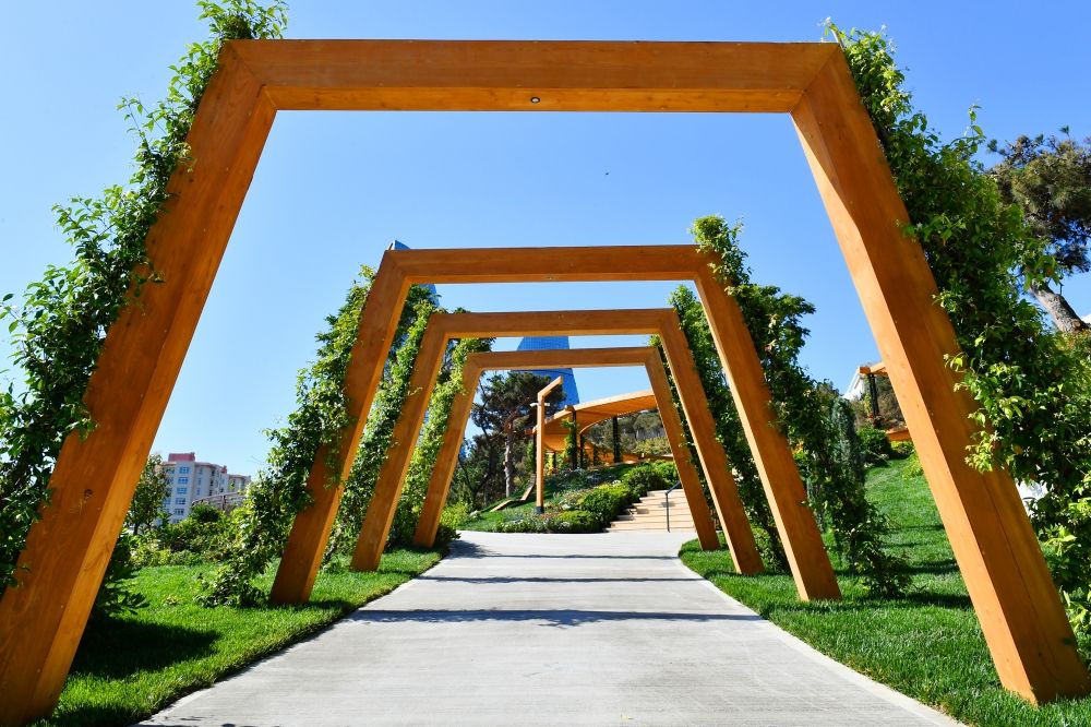 Slider Image 1