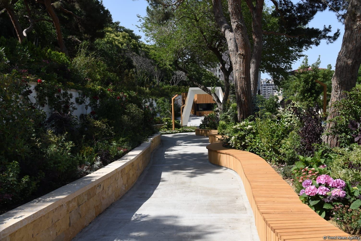 Slider Image 1
