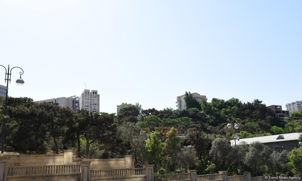 Slider Image 1