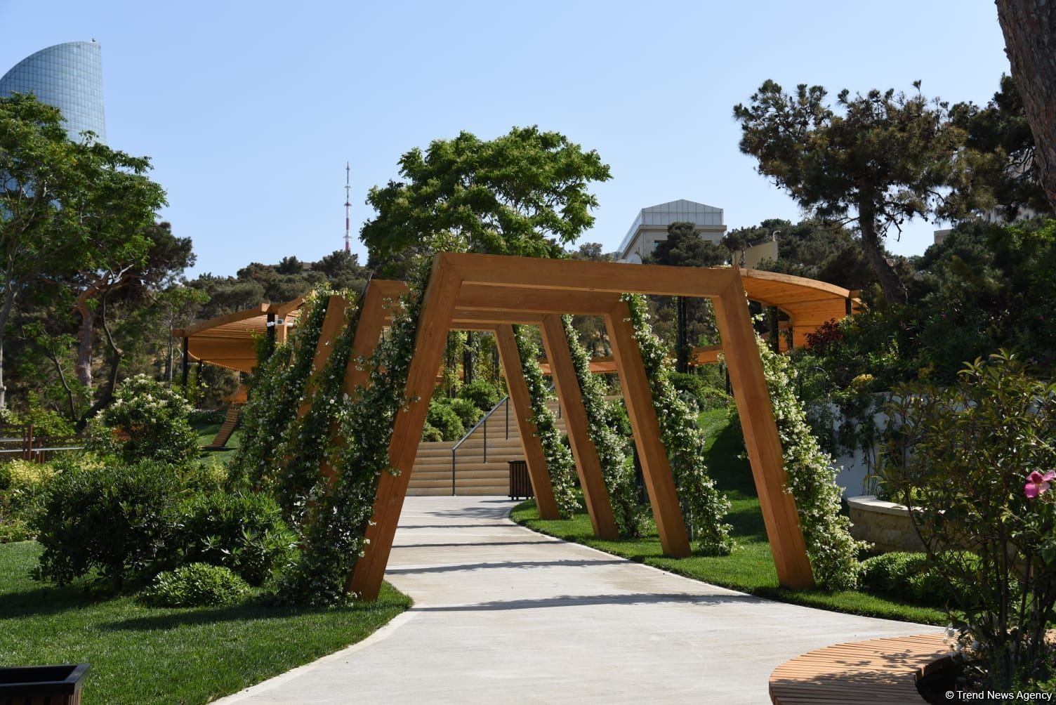 Slider Image 1