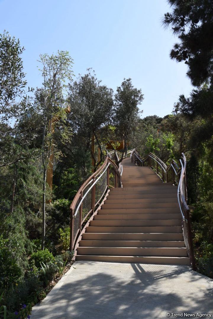 Slider Image 1