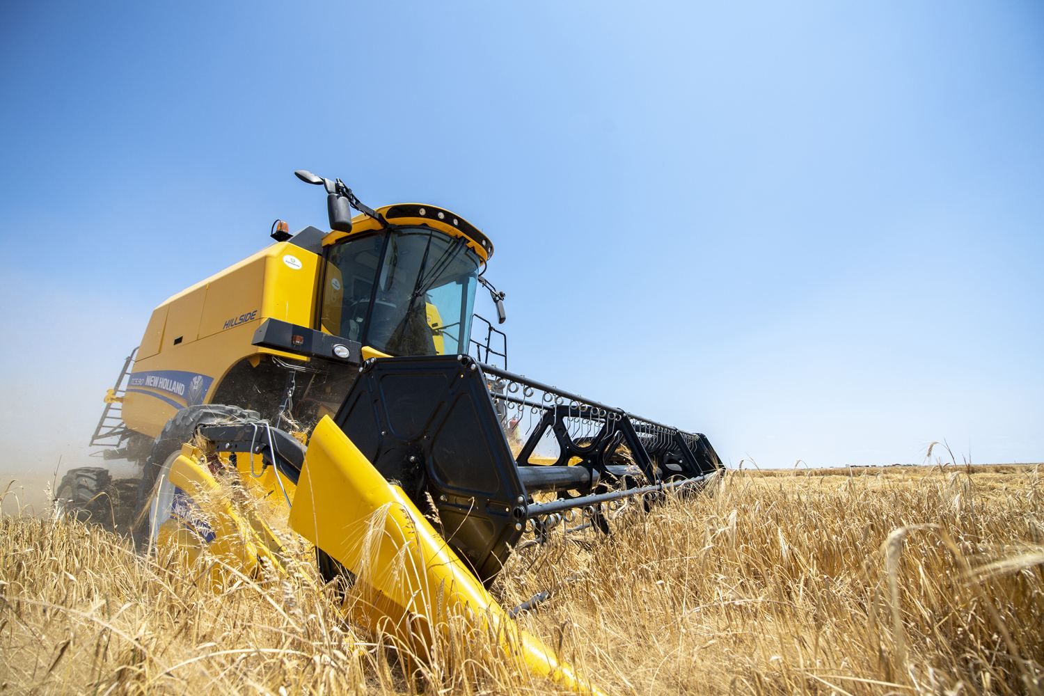 Azerbaijan starts grain harvesting