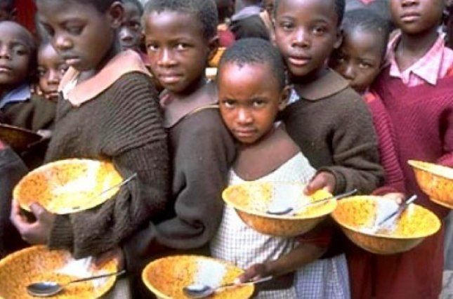 UN says 18.4 mln people experiencing high levels of acute food insecurity in HOA