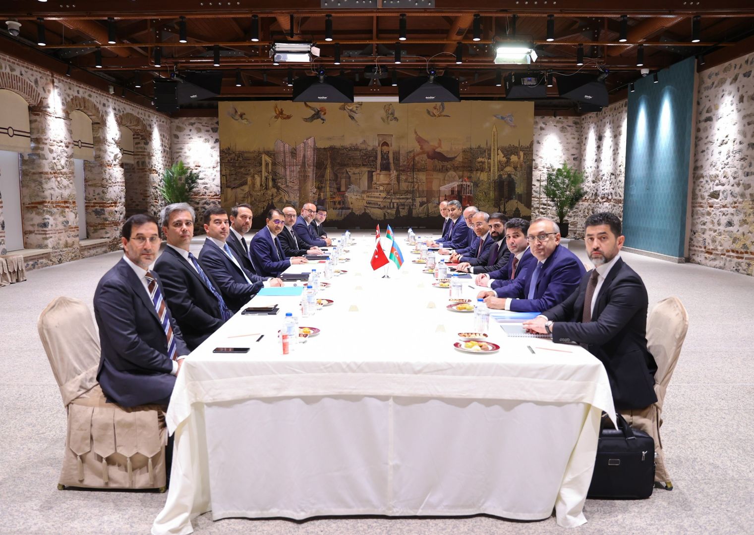 Azerbaijan, Turkiye discuss opportunities to expand SOCAR’s activities