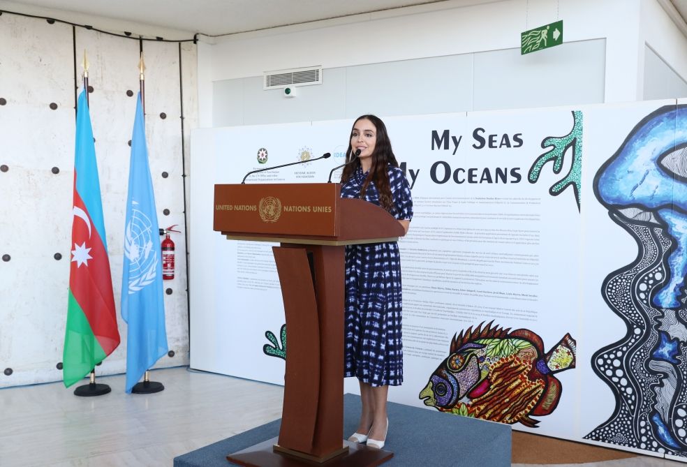 Azerbaijan draws attention to water issues at UN Office [PHOTO]