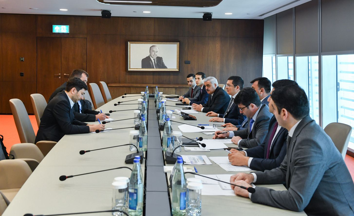 Azerbaijan, Denmark discuss cooperation in production of wind turbines components [PHOTO]