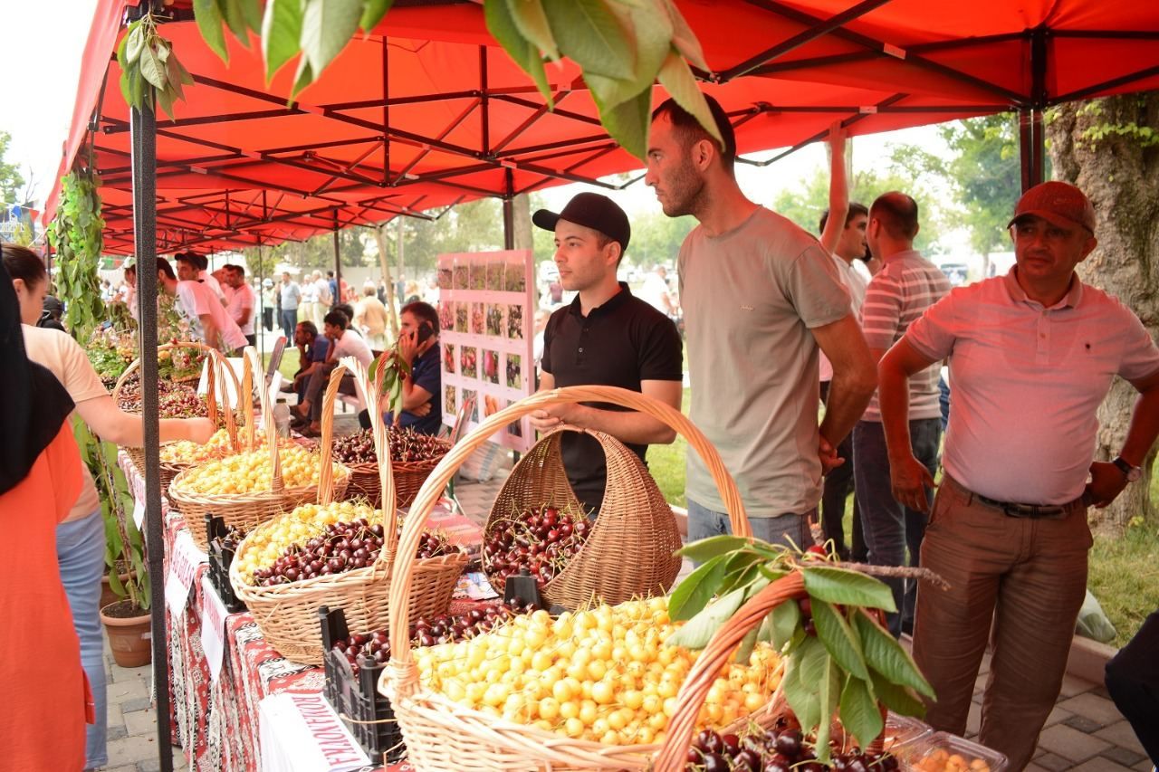 Foodies delight:  Treat your taste buds to mouthwatering cherry [PHOTO]