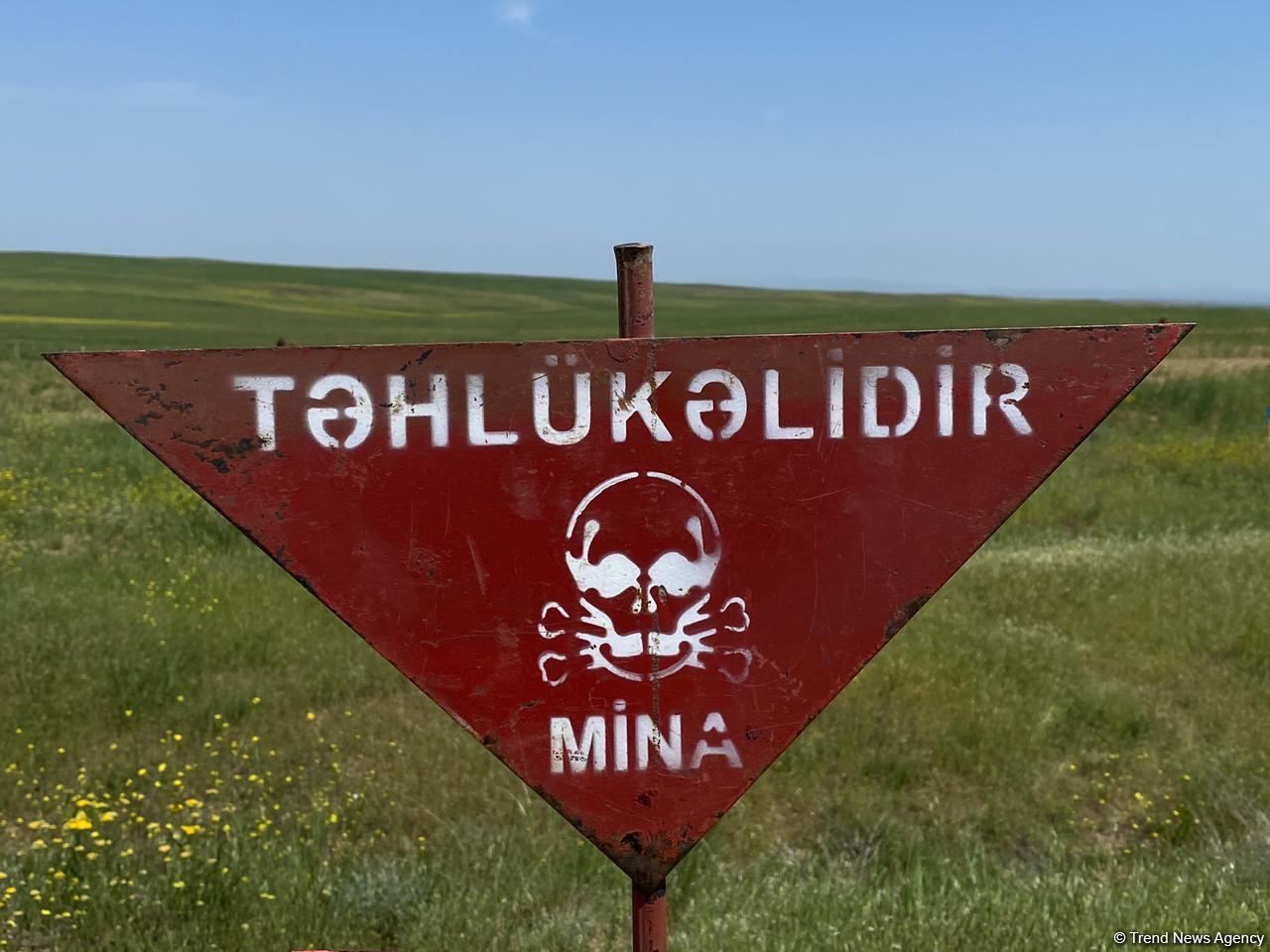 Azerbaijani mine action agency defuses over 200 mines, munitions in liberated lands [PHOTO]