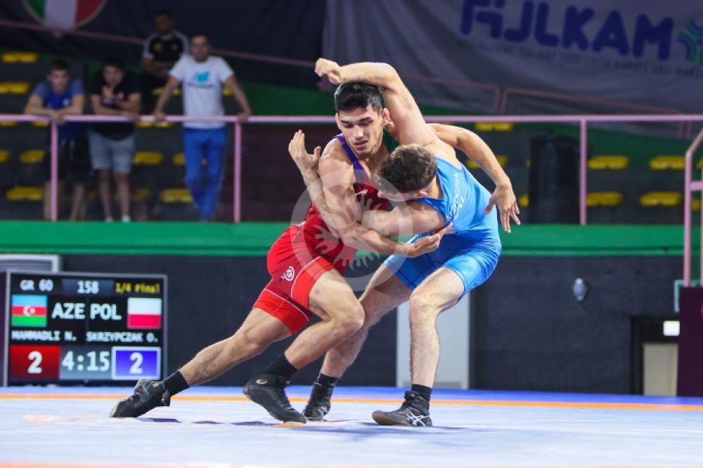 National wrestlers crowned European champions [PHOTO]
