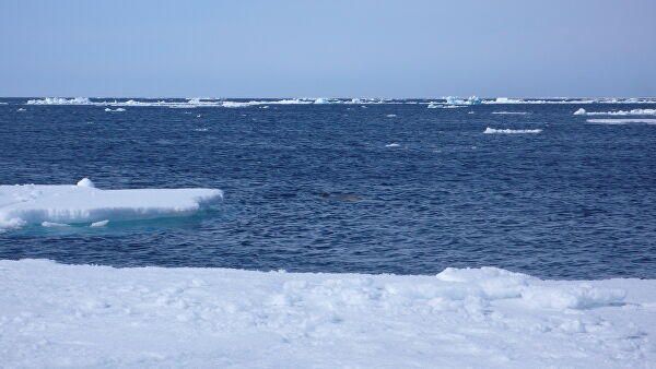 Turkish scientists head to Arctic Ocean for second expedition