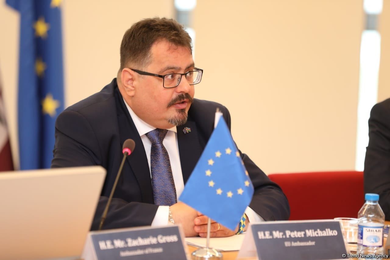 EU backs Azerbaijan's efforts to reintegrate disabled people - rep