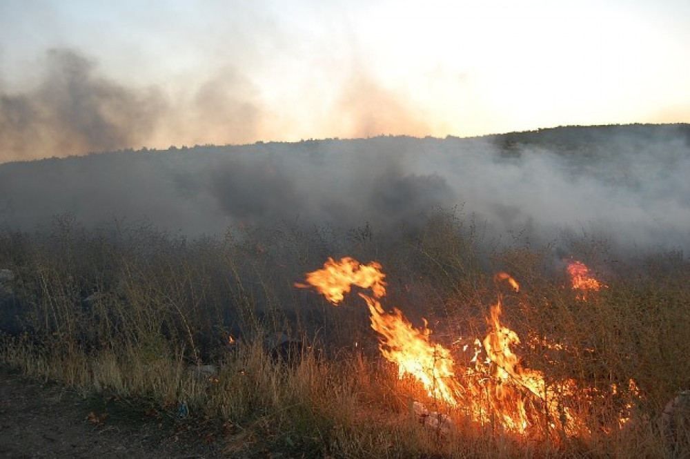Wildfire taken under control in Zangilan