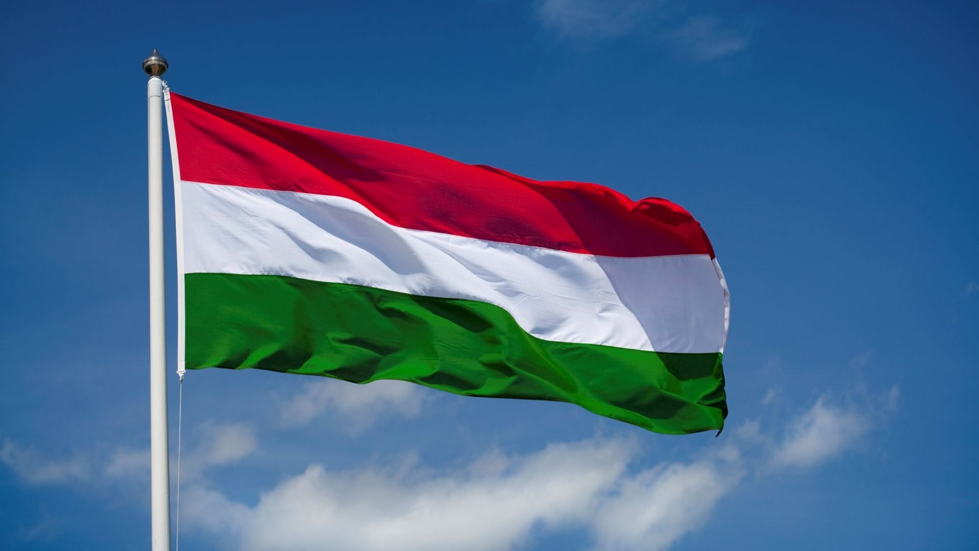 Hungarian universities see increase in number of international students