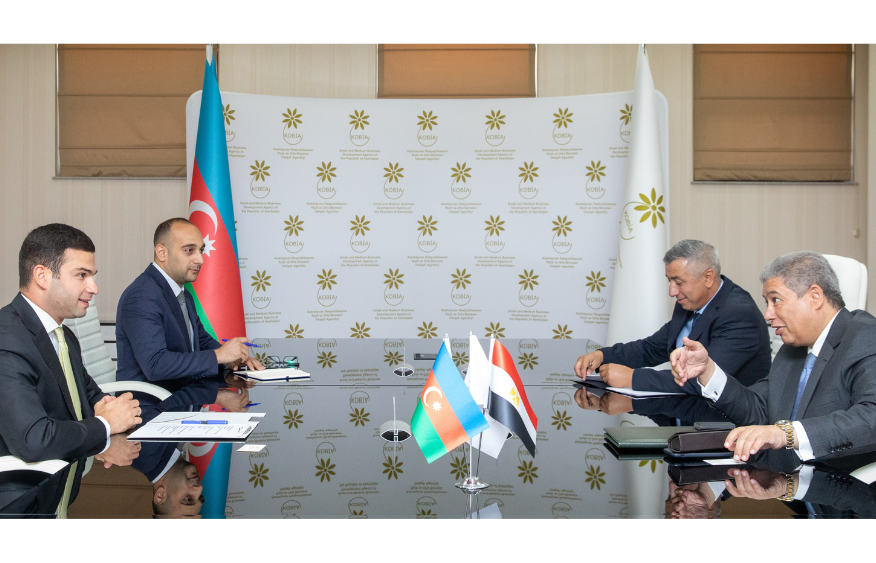 Azerbaijan, Egypt discuss implementing joint projects